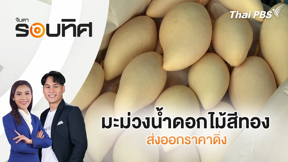 มะม่วงน้ำดอกไม้สีทองส่งออกราคาดิ่ง | จับตารอบทิศ | 21 พ.ค. 68