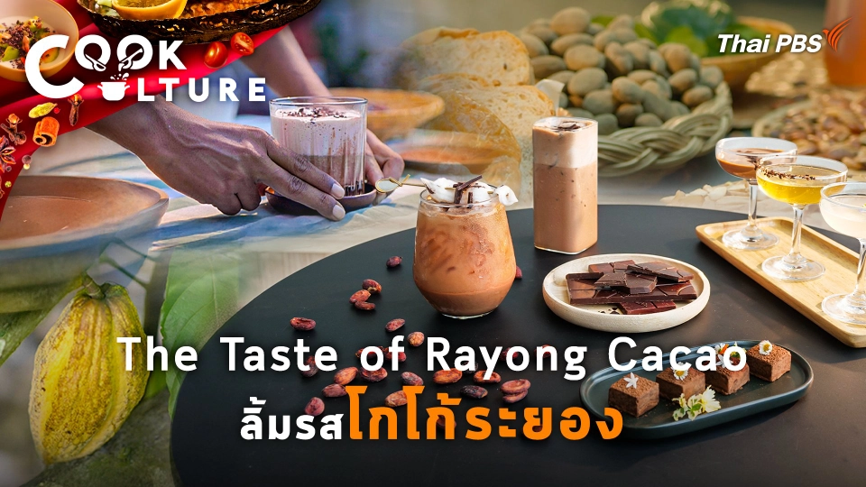 The Taste of Rayong Cacao : ลิ้มรสโกโก้ระยอง