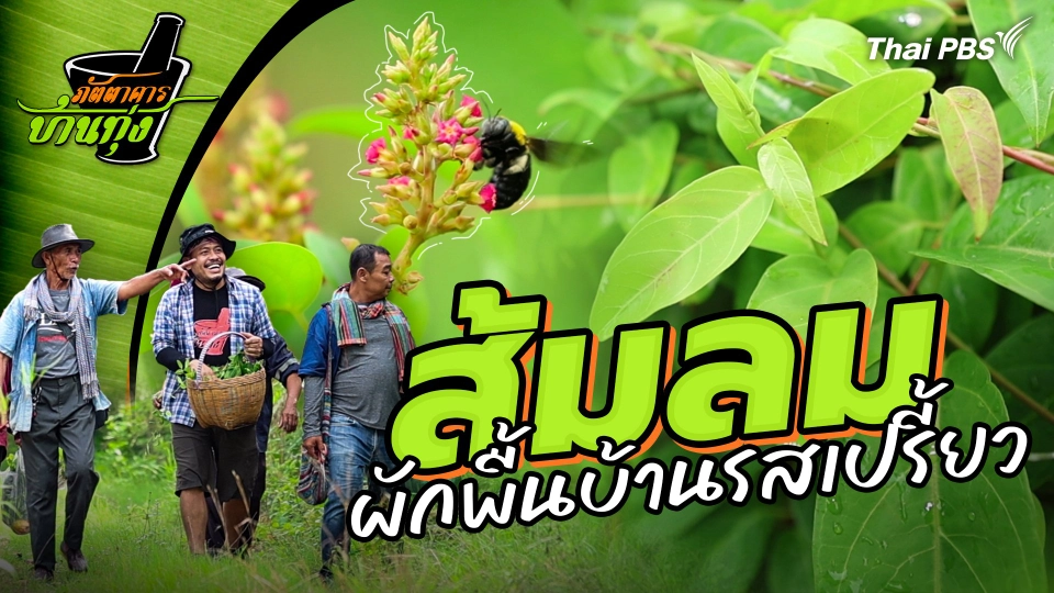 ส้มลม