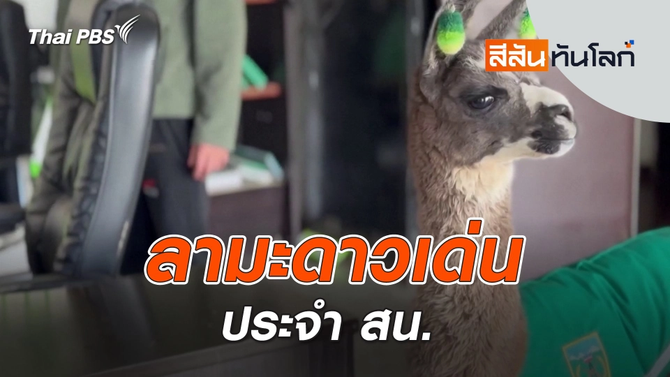 ลามะดาวเด่นประจำ สน. | 28 มิ.ย. 68
