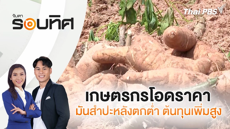 เกษตรกรโอดราคามันสำปะหลังตกต่ำ ต้นทุนเพิ่มสูง | จับตารอบทิศ | 7 ก.ค. 68