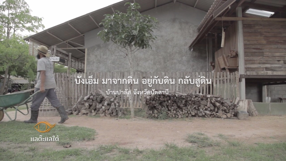 ผู้พิทักษ์ป่า​