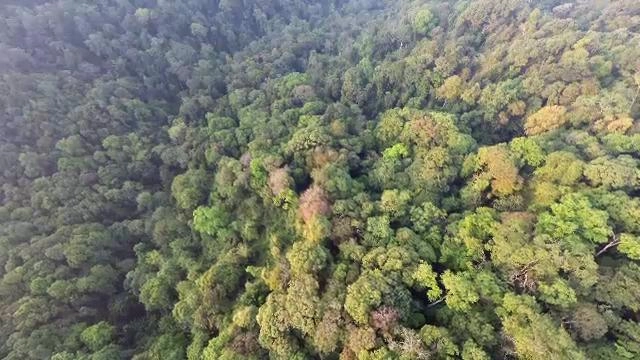 ตอนที่ 1