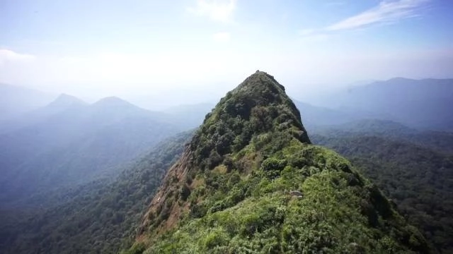 ตอนที่ 2