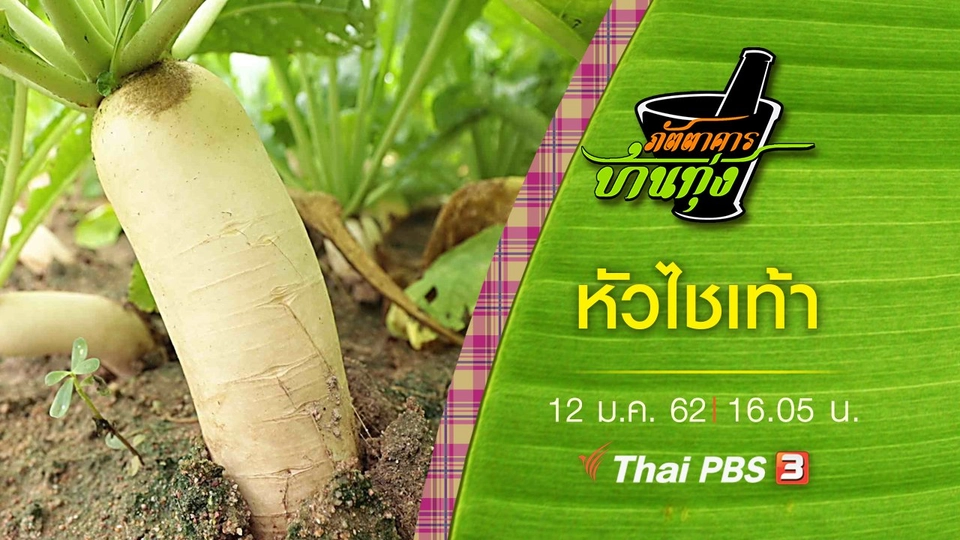 หัวไชเท้า