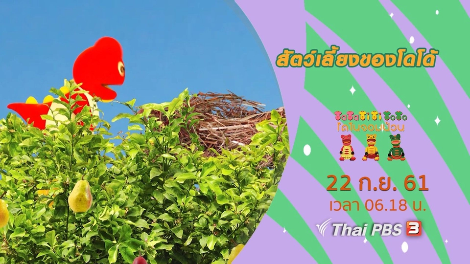 สัตว์เลี้ยงของโดโด้