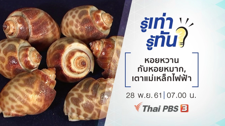 ความต่างของหอยหวานกับหอยหมาก, หลักการใช้เตาแม่เหล็กไฟฟ้า