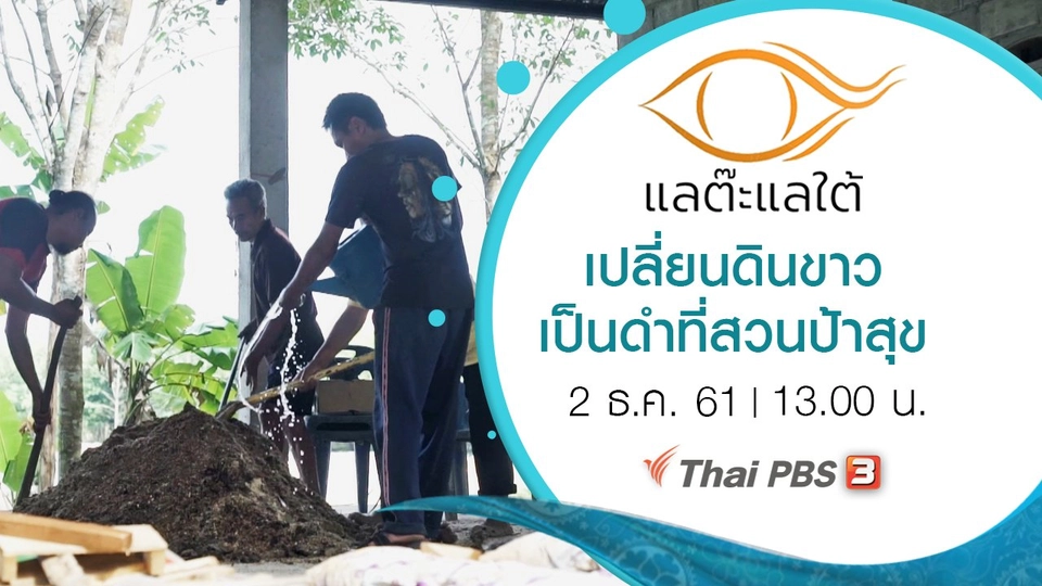 เปลี่ยนดินขาวเป็นดำที่สวนป้าสุข