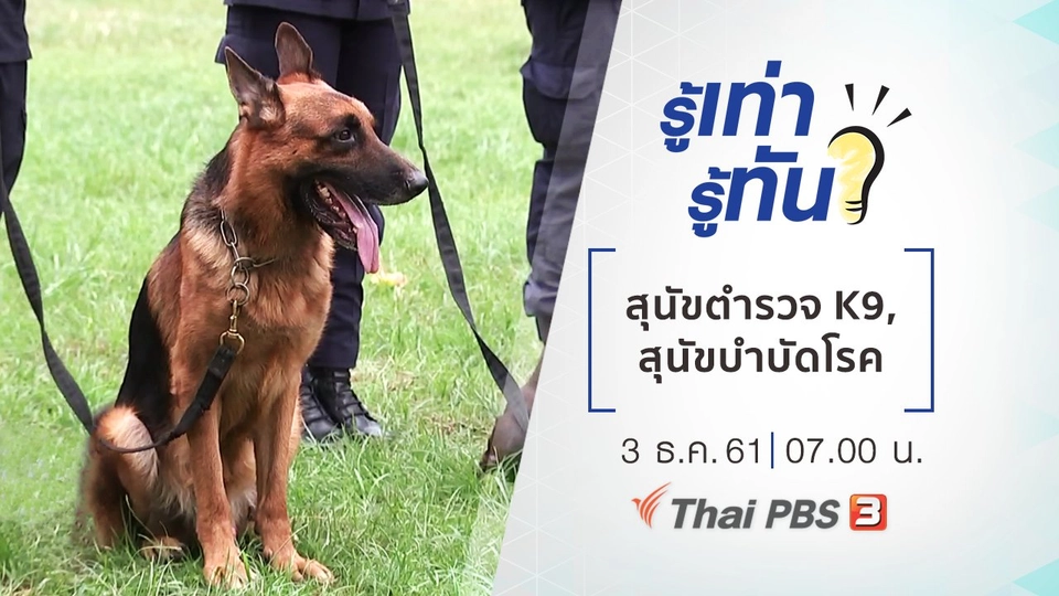 สุนัขตำรวจ K9, สุนัขบำบัดโรค