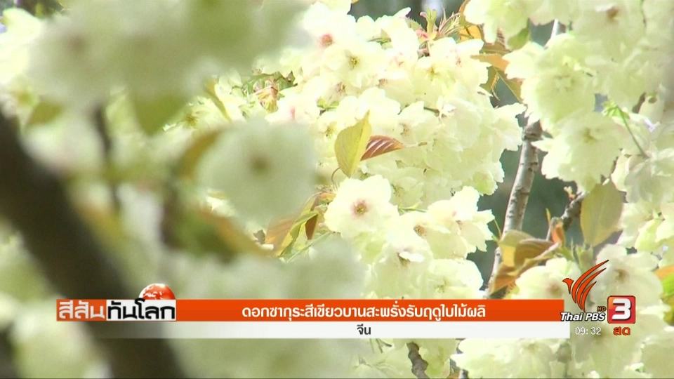 ประเด็นข่าว (29 เม.ย. 60)