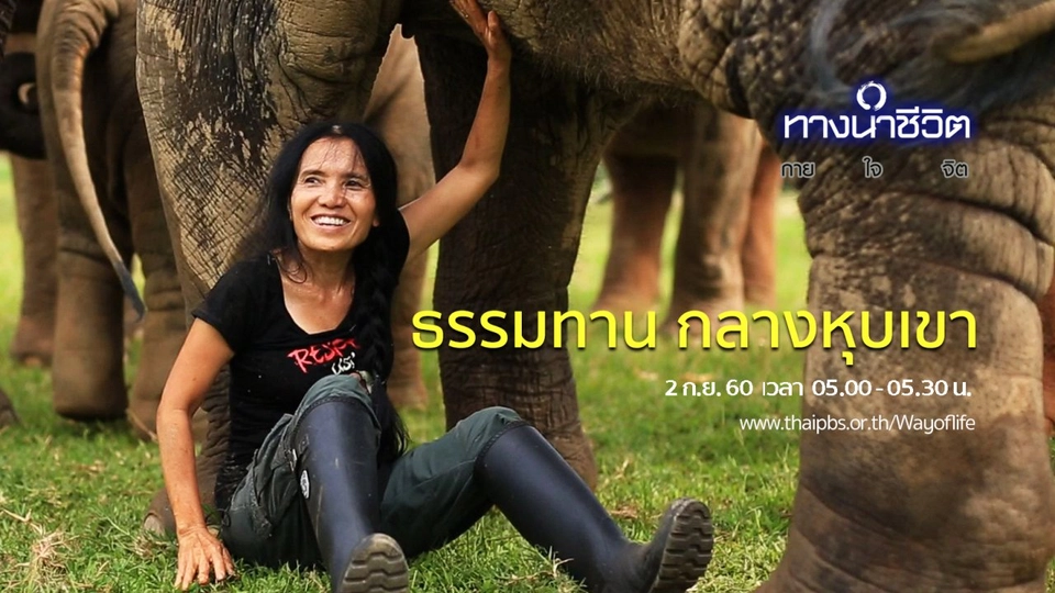 ธรรมทาน  กลางหุบเขา