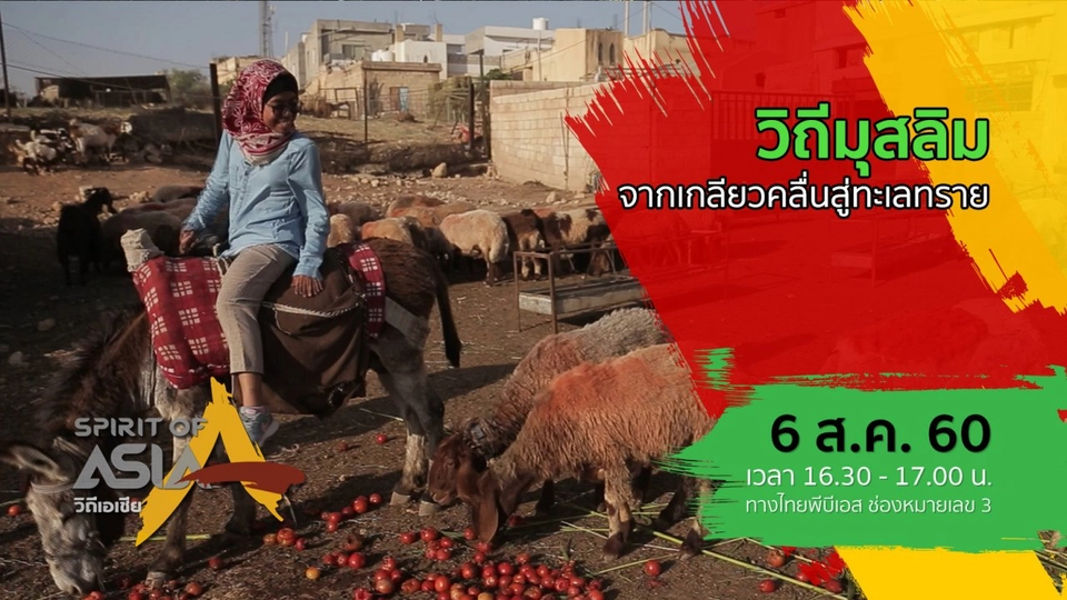 วิถีมุสลิม จากเกลียวคลื่นสู่ทะเลทราย