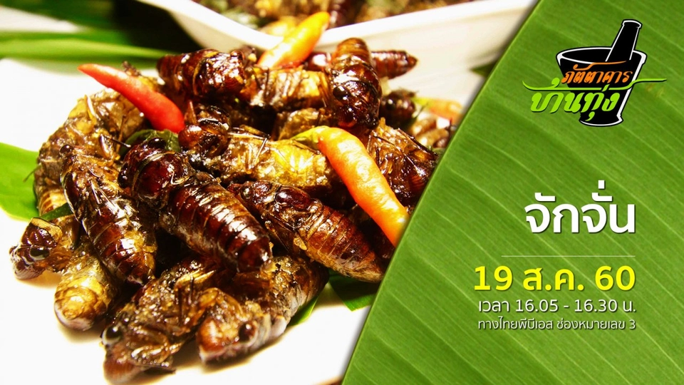 จักจั่น