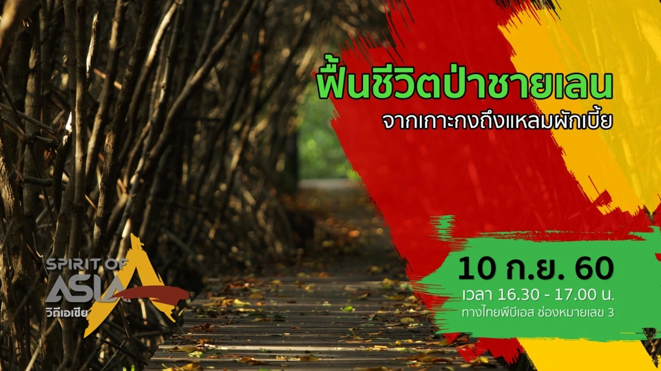 ฟื้นชีวิตป่าชายเลนจากเกาะกงถึงแหลมผักเบี้ย