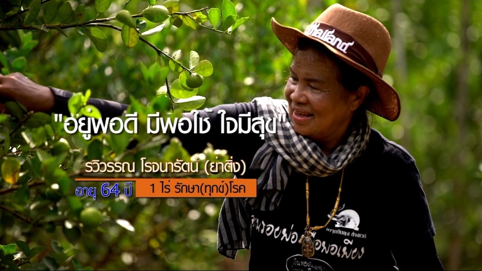 ย่าติ่ง 1 ไร่รักษา(ทุกข์)โรค / ข้าวตัง