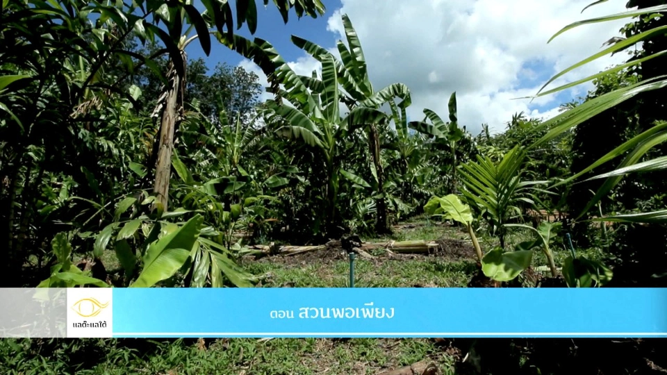 สวนพอเพียง​