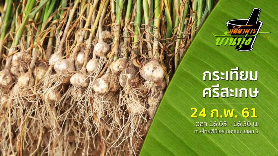 กระเทียมศรีสะเกษ