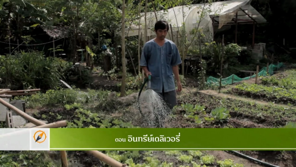 อินทรีย์เดลิเวอรี่​