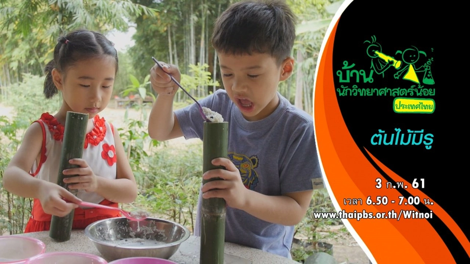 ต้นไม้มีรู