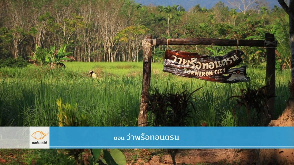 ว่าพรือทอนตรน​​