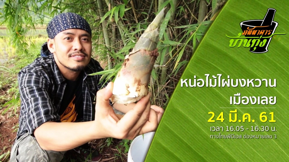 หน่อไม้ไผ่บงหวานเมืองเลย