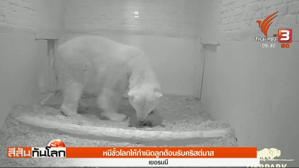 ประเด็นข่าว (16 ธ.ค. 60)