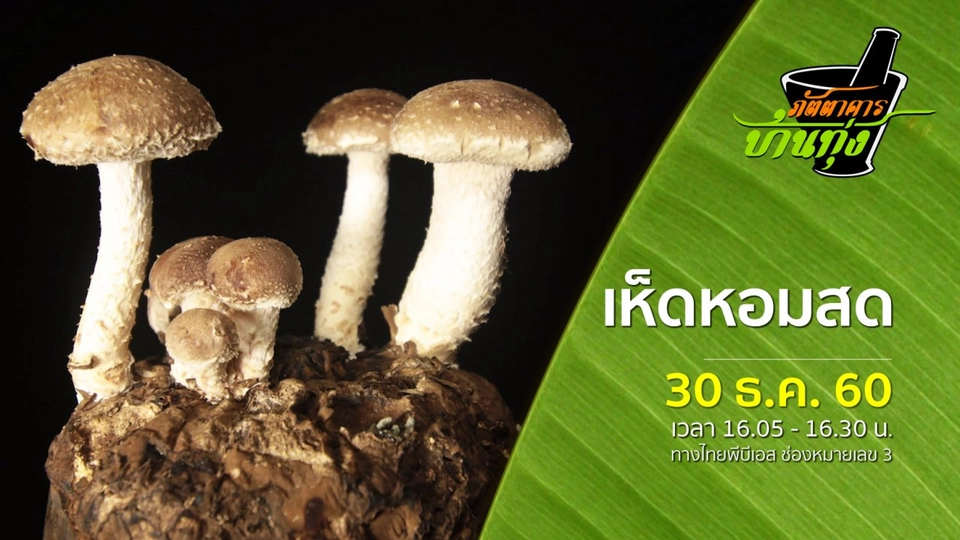 เห็ดหอมสด