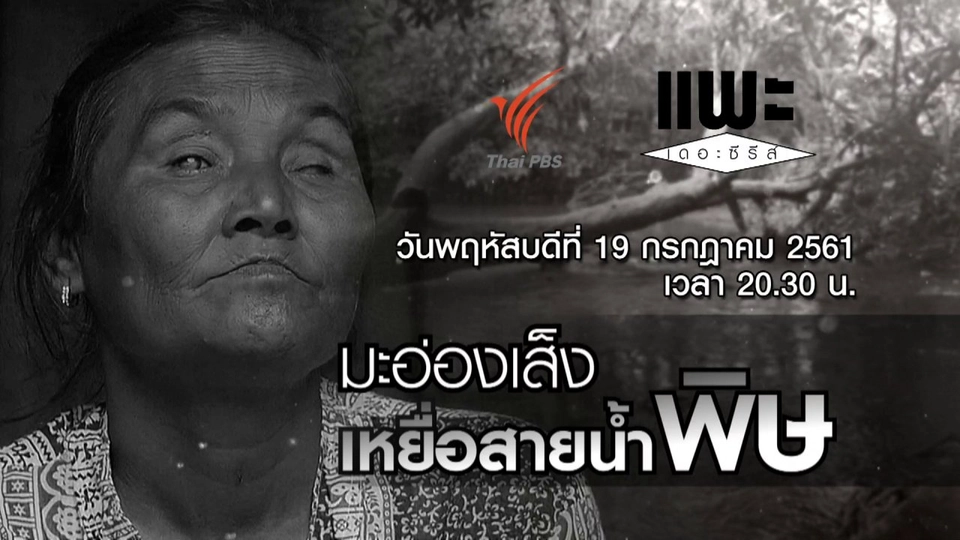 มะอ่องเส็ง เหยื่อสายน้ำพิษ