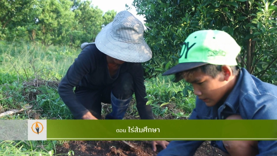 ไร่ส้มศึกษา