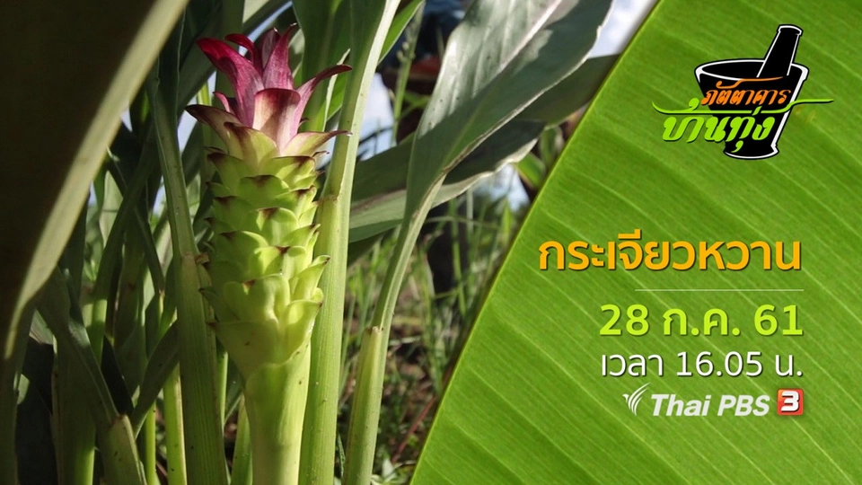 กระเจียวหวาน