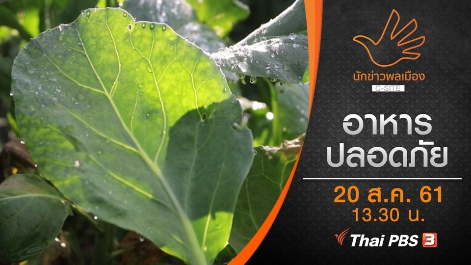 อาหารปลอดภัย