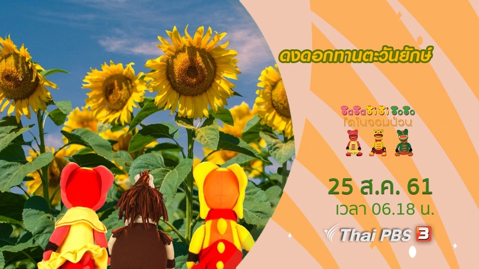 ดงดอกทานตะวันยักษ์