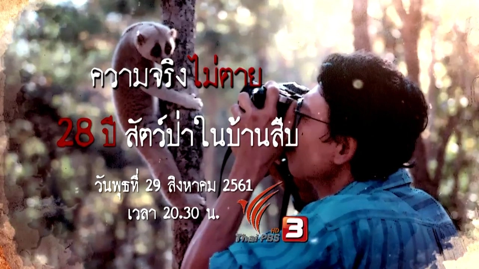 28 ปี สัตว์ป่าในบ้านสืบ