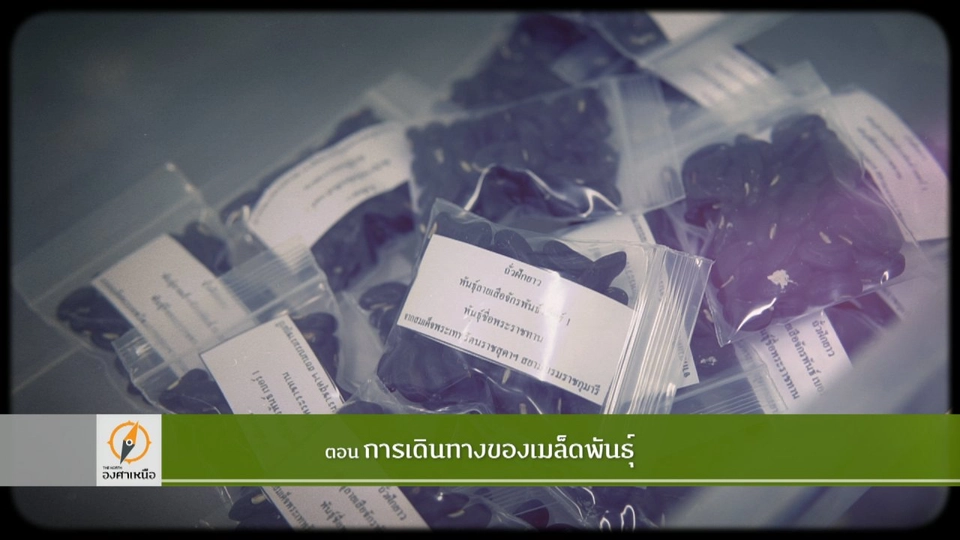 การเดินทางของเมล็ดพันธุ์​