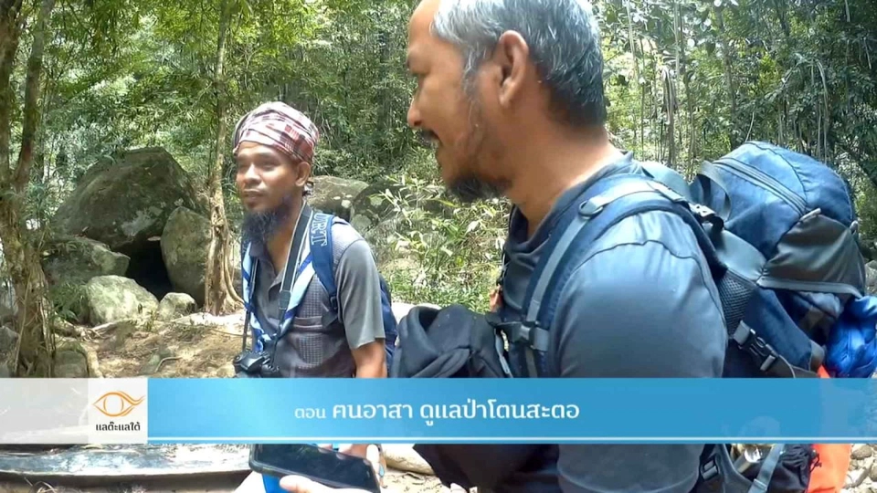 ฅนอาสา ดูแลป่าโตนสะตอ​