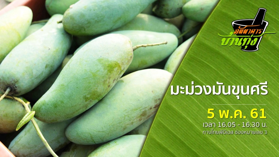 มะม่วงมันขุนศรี