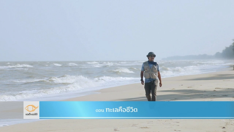 ทะเลคือชีวิต​