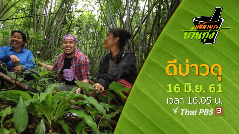 ดีบ่าวดุ