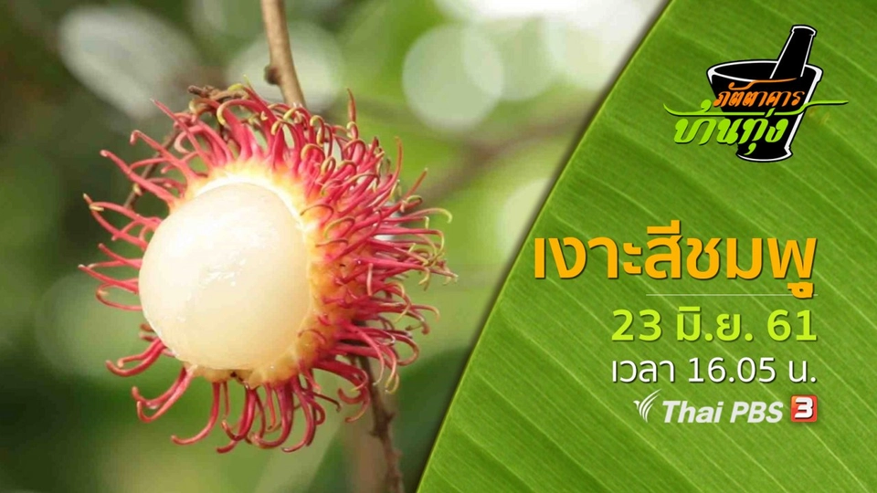 เงาะสีชมพู