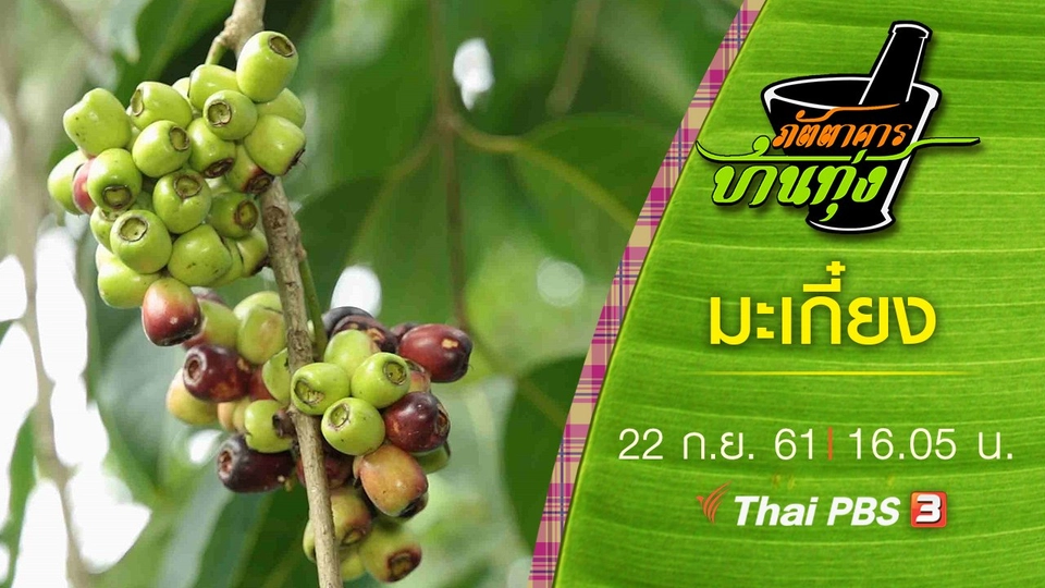 มะเกี๋ยง