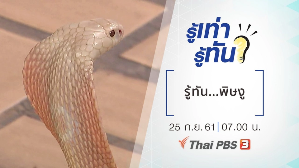 รู้ทัน...พิษงู