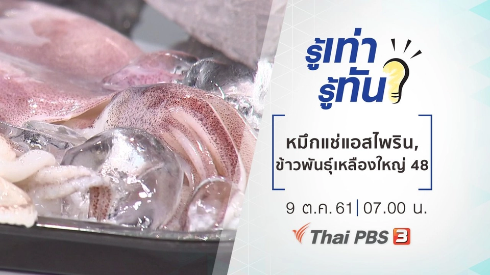 อันตรายจากหมึกแช่แอสไพริน, ข้าวพันธุ์เหลืองใหญ่ 48