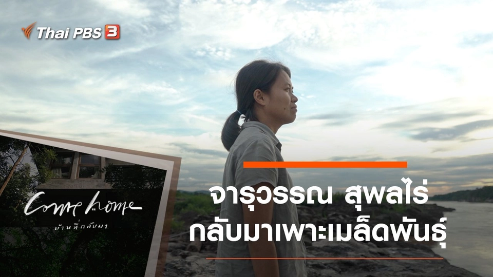 จารุวรรณ สุพลไร่ : กลับมาเพาะเมล็ดพันธุ์