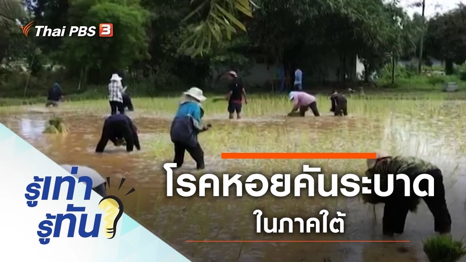 แพทย์เตือน โรคหอยคันระบาดในภาคใต้
