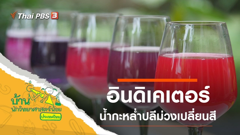 อินดิเคเตอร์