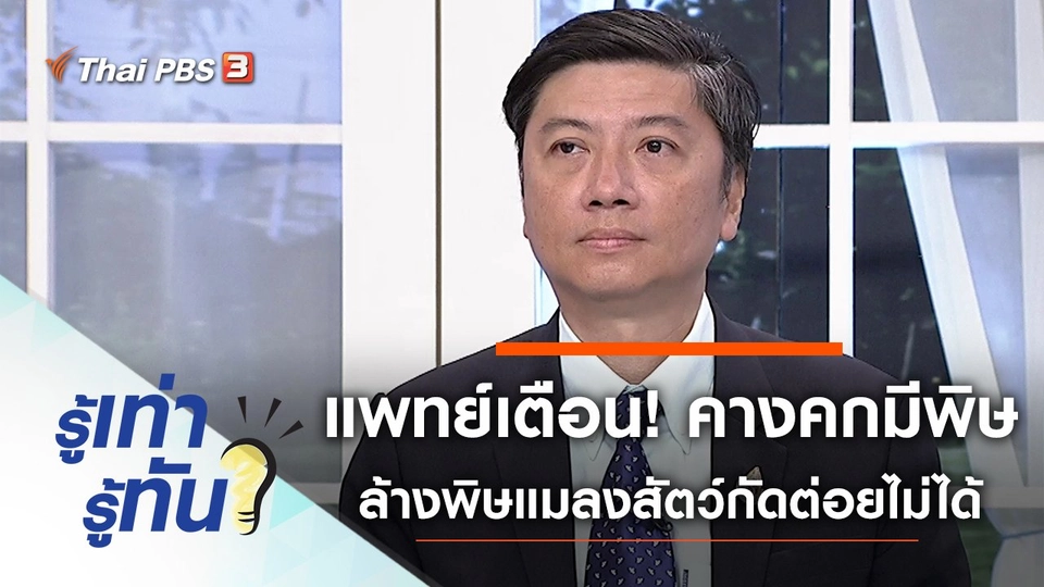 แพทย์เตือน! คางคกมีพิษ ล้างพิษแมลงสัตว์กัดต่อยไม่ได้