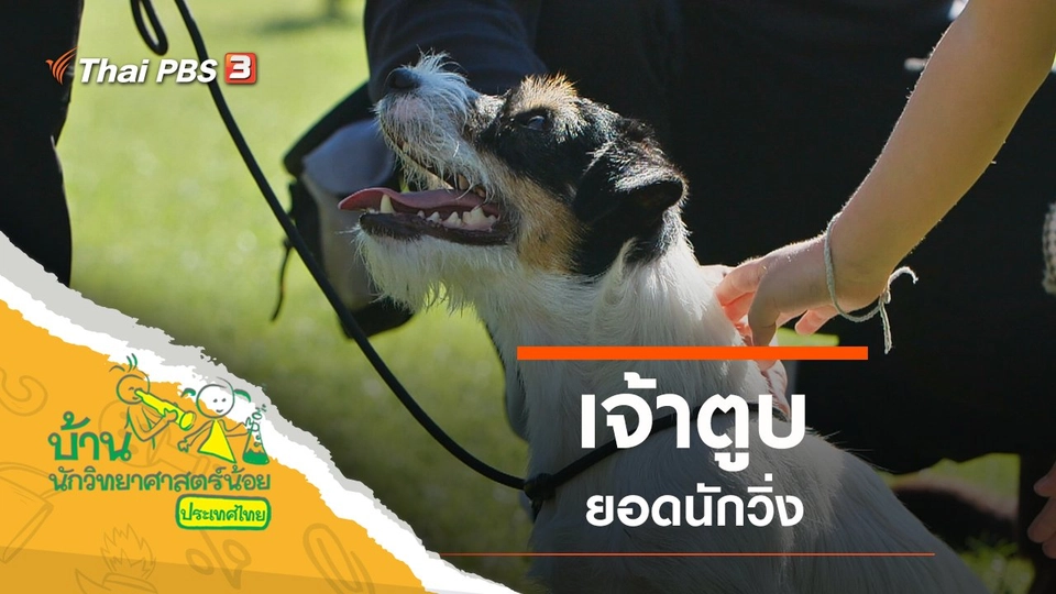 เจ้าตูบยอดนักวิ่ง