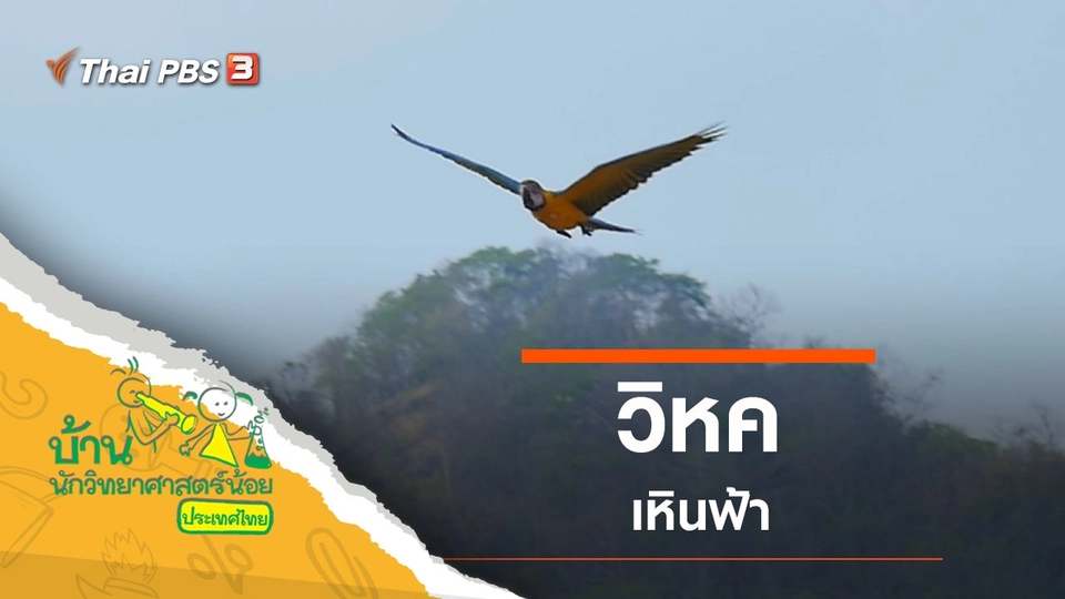 วิหคเหินฟ้า