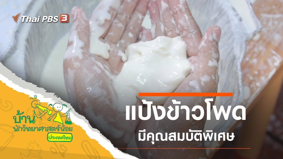 แป้งข้าวโพด