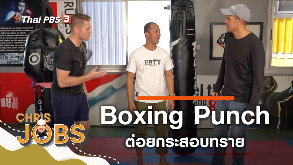 Boxing Punch